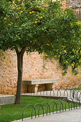 SUITEDO_ORANGE_TREE_AND_STONE_SEAT_BESIDE_AN_OLD_WALL_SANTANYI__MALLORCA__SPAIN