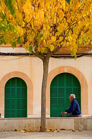 SUITEDO_MAN_CYCLING_BESIDE_A_TREE_IN_SES_SALINAS_MALLORCA__SPAIN