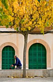SUITE.DO. MAN CYCLING BESIDE A TREE IN SES SALINAS. MALLORCA  SPAIN