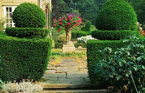VIEW_THROUGH_YEW_TOPIARY_HEDGES_WITH_STEPS_UP_TO_TERRACE_WITH_TALL_CONTAINER_OF_TRAILING_PELARGONIUM