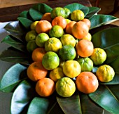 SUITE.DO. RAFAEL DANES HOUSE  CAMPOS  MALLORCA  SPAIN. DISPLAY WITH LEAVES AND ORANGES