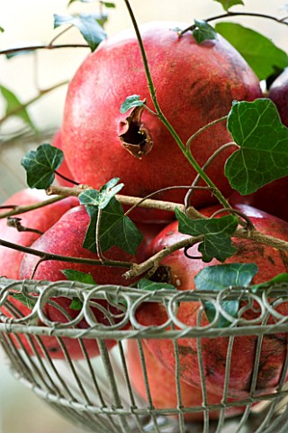 BOONSHILL_FARM_AT_CHRISTMAS_WINDOW_DECORATION__ORNATE_METAL_WIRE_CONTAINERS_WITH_APPLES__IVY_AND_POM