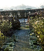 BOONSHILL FARM AT CHRISTMAS: VIEW THROUGH THE  FRONT DOOR ALONG THE PATH OF THE FRONT GARDEN IN FROST. DESIGNER: LISETTE PLEASANCE