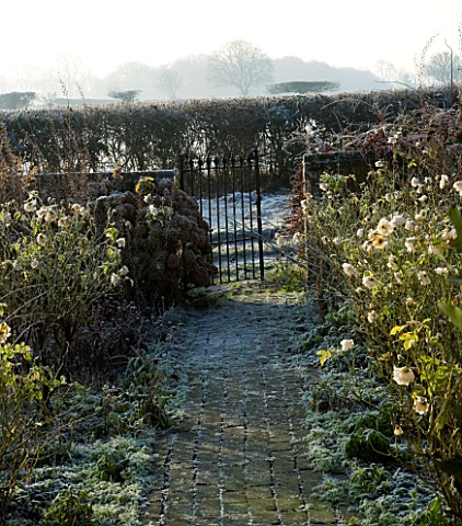 BOONSHILL_FARM_AT_CHRISTMAS_VIEW_THROUGH_THE__FRONT_DOOR_ALONG_THE_PATH_OF_THE_FRONT_GARDEN_IN_FROST