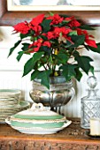 BOONSHILL FARM AT CHRISTMAS: POINSETTIA IN A SILVER CONTAINER ON SIDEBOARD. DESIGNER: LISETTE PLEASANCE