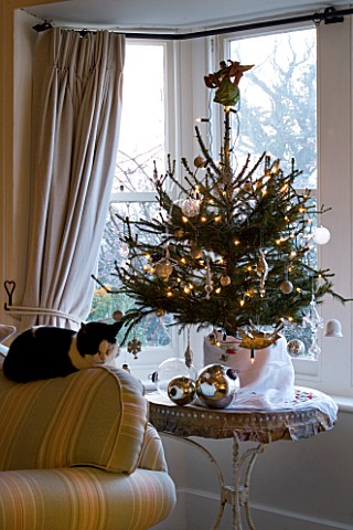 BOONSHILL_FARM_AT_CHRISTMAS_LIVING_ROOM_WITH_CHRISTMAS_TREE_BESIDE_THE_FRONT_WINDOW_AND_CAT_SLEEPING