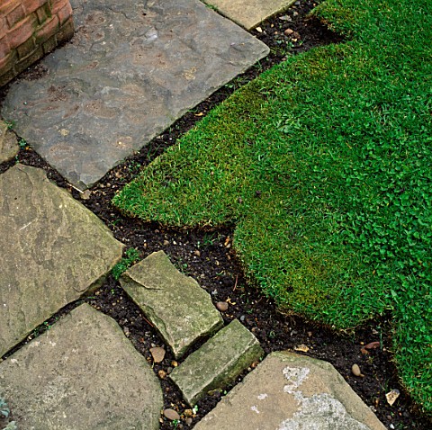 DETAIL_OF_YORK_STONE_PATH_AND_DECORATIVE_SHAPE_OF_EDGE_OF_LAWN_DESIGNER_ANTHONY_NOEL