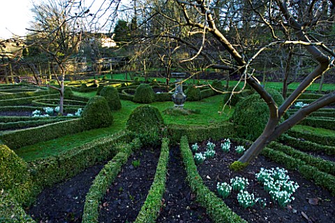 CERNEY_HOUSE__GLOUCESTERSHIRE_FORMAL_PARTERRE_IN_THE_WALLED_GARDEN_WITH_FRUIT_TREES__SNOWDROPS_AND_A