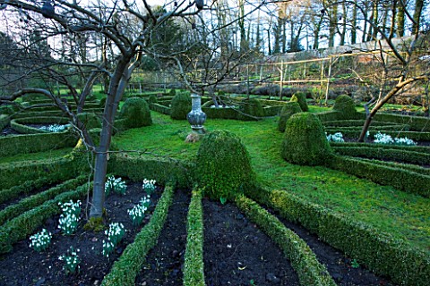 CERNEY_HOUSE__GLOUCESTERSHIRE_FORMAL_PARTERRE_IN_THE_WALLED_GARDEN_WITH_FRUIT_TREES__SNOWDROPS_AND_A