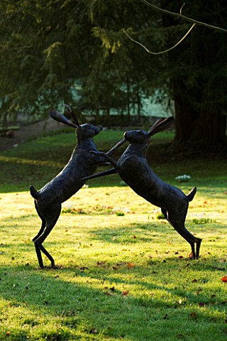 CERNEY_HOUSE_GARDEN__GLOUCESTERSHIRE_SCULPTURE_OF_BOXING_HARES_ON_THE_LAWN_AT_DAWN