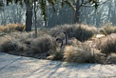 JOHN MASSEYS GARDEN  WORCESTERSHIRE: WINTER - FROSTY GRASS BORDER BESIDE THE CANAL  WITH SWAN SCULPTURES  STIPA TENUISSIMA   MISCANTHUS SINENSIS GRAZIELLA