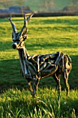 THE OLD RECTORY  HASELBECH  NORTHAMPTONSHIRE - A ROE DEER MADE OUT OF DRIFT WOOD BY HEATHER JANSCH. SPRING  EVENING
