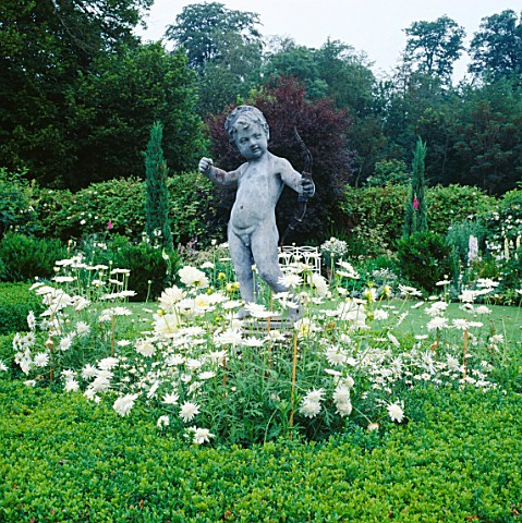 CUPID_SURROUNDED_BY_WHITE_ARGYRANTHEMUM_IN_THE_WHITE_GARDEN_AT_CHENIES_MANOR__BUCKINGHAMSHIRE