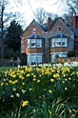 THE OLD RECTORY  HASELBECH  NORTHAMPTONSHIRE - VIEW TOWARDS THE RECTORY FROM THE LAWN WITH DAFFODILS - EVENING LIGHT