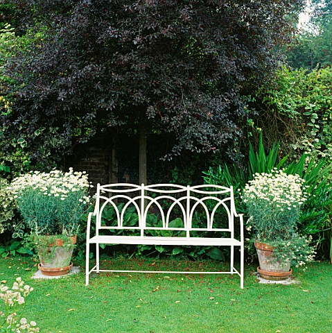 WHITE_SEAT_FLANKED_BY_CONTAINERS_OF_WHITE_MARGUERITES__IN_THE_WHITE_GARDEN_AT_CHENIES_MANOR__BUCKING