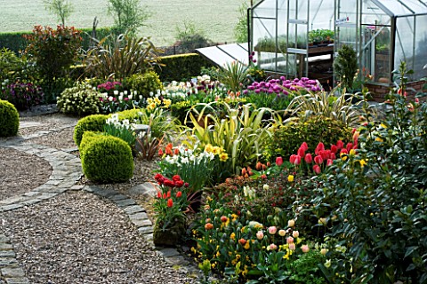 LITTLE_LARFORD__WORCESTERSHIRE_SPRING__VIEW_DOWN_THE_GARDEN_WITH_TULIPS__DAFFODILS_AND_PHORMIUM__GRE