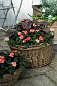 DESIGNERS SUE AYLETT AND GAY SEARCH: WICKER BASKET COTTAGE STYLE CONTAINERS IN COURTYARD PLANTED WITH IMPATIENS NEW GUINEA