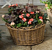 DESIGNERS SUE AYLETT AND GAY SEARCH: WICKER BASKET COTTAGE STYLE CONTAINER IN COURTYARD PLANTED WITH IMPATIENS NEW GUINEA  AND HEUCHERA