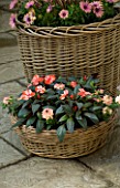 DESIGNERS SUE AYLETT AND GAY SEARCH: WICKER BASKET COTTAGE STYLE CONTAINERS IN COURTYARD PLANTED WITH IMPATIENS NEW GUINEA AND OSTEOSPERMUMS