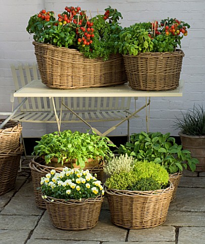 DESIGNERS_SUE_AYLETT_AND_GAY_SEARCH_WICKER_BASKET_COTTAGE_STYLE_CONTAINERS_IN_COURTYARD_AROUND_AND_O