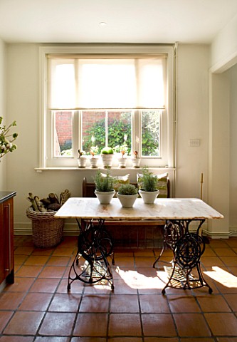 DESIGNERS_SUE_AYLETT_SUE_AYLETTS_HOUSE__LONDON_THE_KITCHEN_TABLE_WITH_VIEW_OUT_TO_COURTYARD
