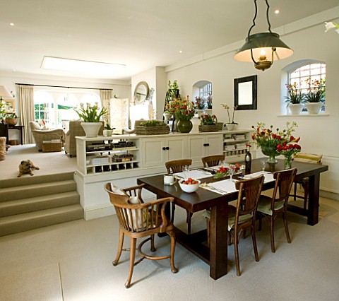 DESIGNERS_SUE_AYLETT_SUE_AYLETTS_HOUSE__LONDON_THE_DINING_ROOM_AND_SITTING_ROOM_BEYOND