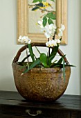 DESIGNERS SUE AYLETT: SUE AYLETTS HOUSE  LONDON: THE LIVING ROOM WITH BEAUTIFUL WHITE ORCHID IN WICKER BASKET/CONTAINER