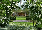 PRIVATE GARDEN  PROVENCE  FRANCE - DESIGNER DOMINIQUE LAFOURCADE. WOODEN PERGOLA WITH CLIMBING WHITE ROSE ICEBERG WITH VIEW TO SEATING AREA