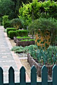 PRIVATE GARDEN PROVENCE FRANCE-DESIGNER DOMINIQUE LAFOURCADE.POTAGER WITH VINES(VITIS) CLIPPED ROSEMARY RAISED BEDS WITH CARROTS & ONIONS & CONTAINERS WITH PROSTRATE ROSEMARY