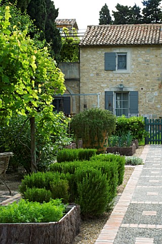 PRIVATE_GARDEN_PROVENCE_FRANCEDES_DOMINIQUE_LAFOURCADEPATH_BESIDE_POTAGER_WITH_VINESVITIS_CLIPPED_RO