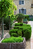 PRIVATE GARDEN  PROVENCE  FRANCE - DESIGNER DOMINIQUE LAFOURCADE. POTAGER WITH VINES (VITIS)  ROSEMARY  RAISED BEDS WITH CARROTS AND ONIONS & PROSTRATE ROSEMARY IN CONTAINER