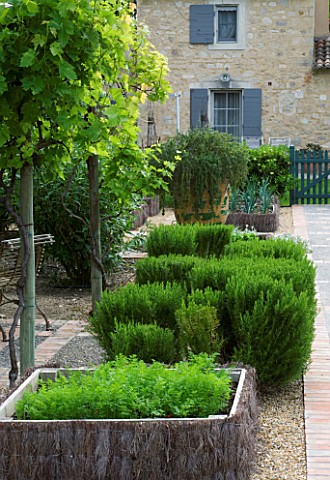 PRIVATE_GARDEN__PROVENCE__FRANCE__DESIGNER_DOMINIQUE_LAFOURCADE_POTAGER_WITH_VINES_VITIS__ROSEMARY__
