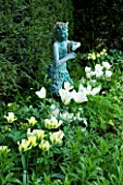 COTON MANOR GARDENS  NORTHAMPTONSHIRE: TULIPS INCLUDING SPRING GREEN BESIDE A YEW HEDGE WITH A STATUE