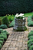 COTON MANOR GARDEN  NORTHAMPTONSHIRE: BRICK PATH IN THE OLD ROSE GARDEN WITH WHITE TULIPS IN A LEAD CONTAINER