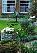 COTON MANOR GARDEN  NORTHAMPTONSHIRE: THE OLD ROSE GARDEN WITH WHITE TULIPS IN A LEAD CONTAINER