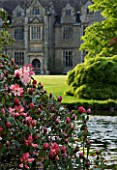 WAKEHURST PLACE  WEST SUSSEX. THE PINK FLOWERS OF RHODODENDRON LEMS CAMEO BESIDE THE LAKE WITH THE HOUSE IN BACKGROUND