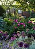 THE WALLED GARDEN AT COWDRAY  WEST SUSSEX. DESIGNER: JAN HOWARD - EARLY SUMMER BORDER WITH ALLIUM PURPLE SENSATION  PINK PAEONIA (PEONIES) AND METAL TRIPODS