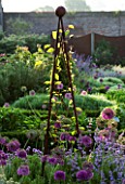 THE WALLED GARDEN AT COWDRAY  WEST SUSSEX. DESIGNER: JAN HOWARD - METAL TRIPOD IN EARLY MORNING LIGHT WITH ALLIUM PURPLE SENSATION AND NEPETA
