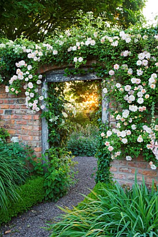 WOLLERTON_OLD_HALL__SHROPSHIRE_ROSA_PHYLLIS_BIDE_OVER_DOORWAY_FROM_LONG_WALK_INTO_CROFT_GARDEN_ENTRA