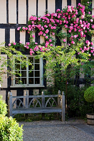 WOLLERTON_OLD_HALL__SHROPSHIRE_SOUTH_WALL_OF_THE_HOUSE_WITH_WOODEN_BENCH_AND_ROSA_ZEPHERINE_DROUHIN