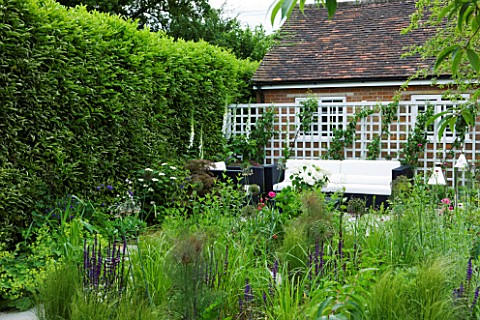 DESIGN_CHARLOTTE_ROWE__LONDON_SMALL_SECLUDED_COUNTRY_GARDEN_IN_JUNE_WITH_SOFA__TRELLIS__DIGITALIS_PU