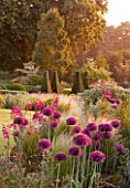 PETTIFERS  OXFORDSHIRE: DAWN LIGHT HITS A BORDER WITH ALLIUM FIRMAMENT  STIPA TENUISSIMA  GLADIOLUS COMMUNIS BYZANTINUS WITH PARTERRE BEHIND