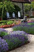 COWDRAY WALLED GARDEN  SUSSEX. DESIGNER: JAN HOWARD. BEDS OF LAVENDER HIDCOTE (LAVANDULA) WITH WOODEN THRONE CHAIRS AND LION STATUE