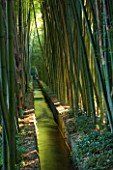 LA BAMBOUSERAIE DE PRAFRANCE  FRANCE: WATER RILL RUNNING THROUGH THE GARDEN SURROUNDED BY GIANT BAMBOOS