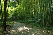 LA BAMBOUSERAIE DE PRAFRANCE  FRANCE: PATH SURROUNDED BY GIANT BAMBOOS