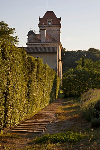 CHATEAU_PLAISIR__FRANCE__DESIGNER_PASCAL_CRIBIER__THE_CHATEAU_WITH_A_HUGE_EVERGREEN_OAK_HEDGE_IN_EVE