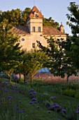 CHATEAU PLAISIR  FRANCE  DESIGNER: PASCAL CRIBIER - VIEW OF THE CHATEAU IN EVENING LIGHT FROM THE ORCHARD. IRISES  VERBENA BONARIENSIS AND GAURA