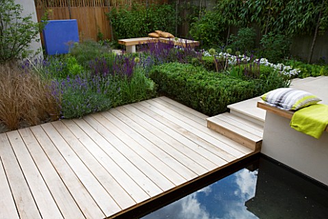 DES_CHARLOTTE_ROWE__LONDON_FORMAL_TOWNCITY_GARDENVIEW_ACROSS_POOL_AND_DECK_WITH_BOX_CUBES__CAREX_BUC