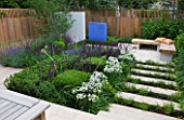 DES: CHARLOTTE ROWE  LONDON: FORMAL TOWN/CITY GARDEN WITH STEPS INTERPLANTED WITH PERENNIALS  BOX CUBES & WHITE AGAPANTHUS ENIGMA. SALVIA MAINACHT  PURPURESCENS & CARADONNA