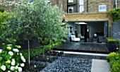 TANIA LAURIE  LONDON. SMALL CONTEMPORARY GARDEN BY CHARLOTTE ROWE. BLACK STAINED DECK WITH CATALPA AND OPHIOPOGON SET INTO GREY POLISHED PEBBLED PATIO AREA